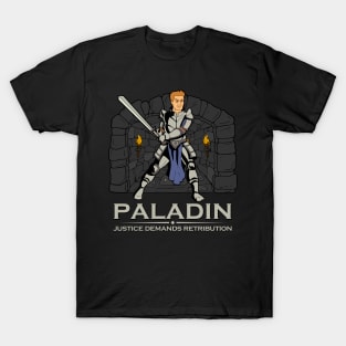 D20 Roleplaying Character - Paladin T-Shirt